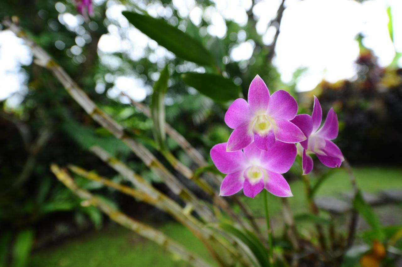 Villa Mimpi Ubud Esterno foto
